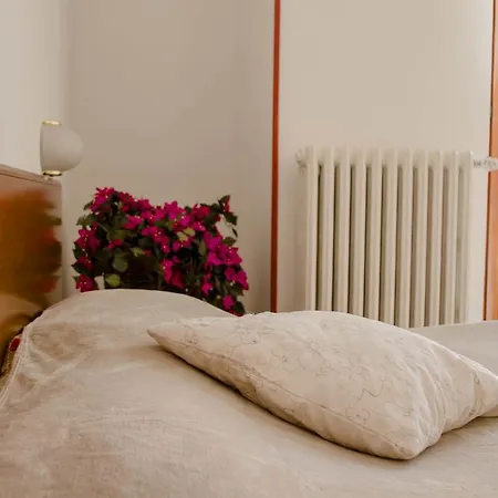Hotel Domus 3*