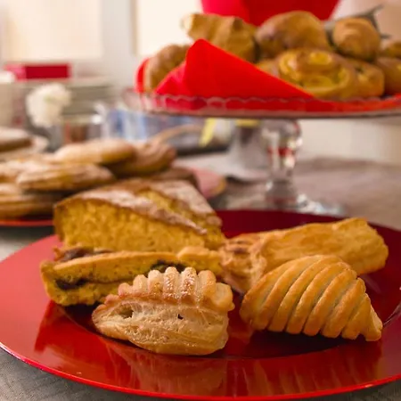 Hotel Domus Alexandrie