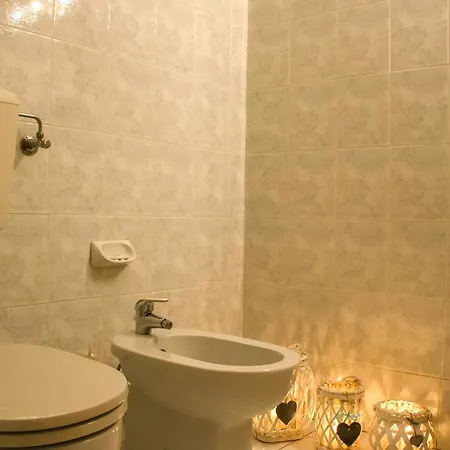 Hotel Domus 3*